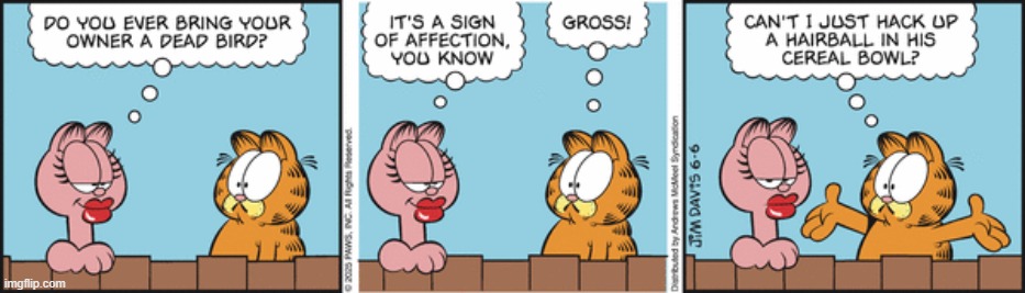 Garfield | image tagged in comics | made w/ Imgflip meme maker