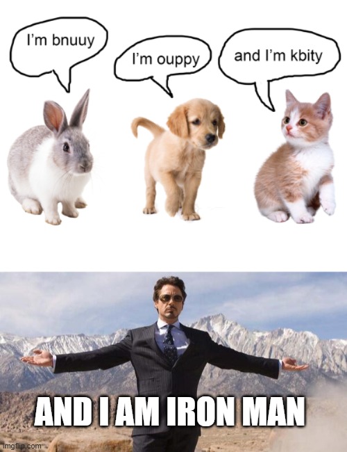 I am IRON MAN | AND I AM IRON MAN | image tagged in robert downey iron man,black sabbath,kitty,bunny | made w/ Imgflip meme maker