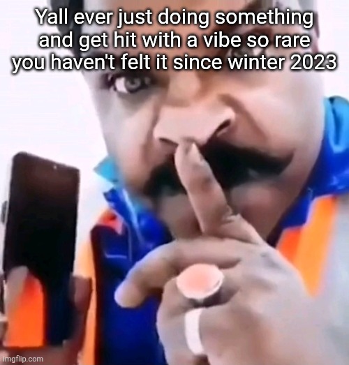 Xavier shhh | Yall ever just doing something and get hit with a vibe so rare you haven't felt it since winter 2023 | image tagged in xavier shhh | made w/ Imgflip meme maker