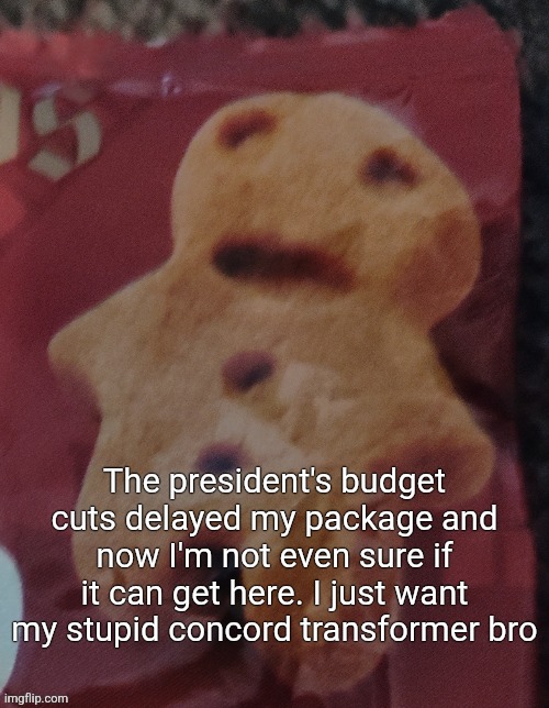 Cookie | The president's budget cuts delayed my package and now I'm not even sure if it can get here. I just want my stupid concord transformer bro | image tagged in cookie | made w/ Imgflip meme maker