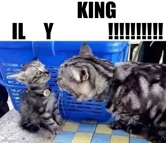 king ily | KING
   IL     Y               !!!!!!!!!! | image tagged in lock the fuck in | made w/ Imgflip meme maker