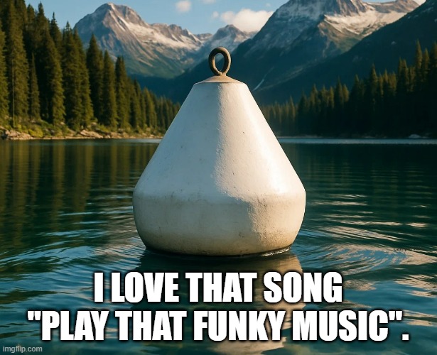 I love that song "Play that funky music".  - funny - | I LOVE THAT SONG "PLAY THAT FUNKY MUSIC". | image tagged in funny,music,play on words,humor | made w/ Imgflip meme maker