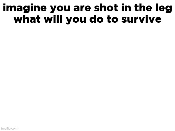 imagine you are shot in the leg
what will you do to survive | made w/ Imgflip meme maker