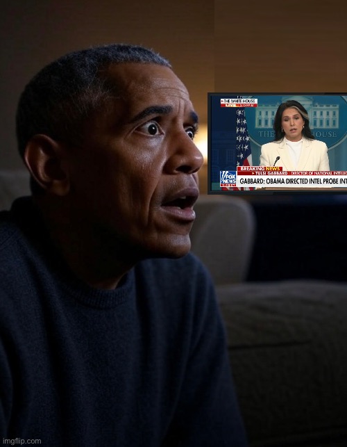 DNI Tulsi Gabbard—thank you! | image tagged in barack obama,obama,democrat party,president trump,republican party,2016 election | made w/ Imgflip meme maker