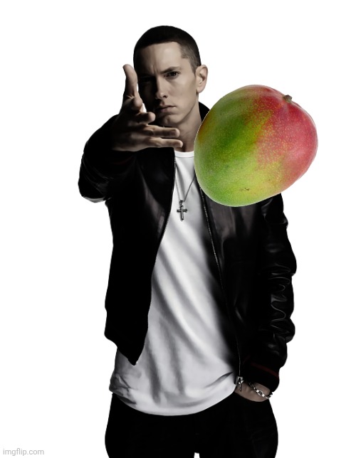 Eminem throw | image tagged in eminem throw | made w/ Imgflip meme maker