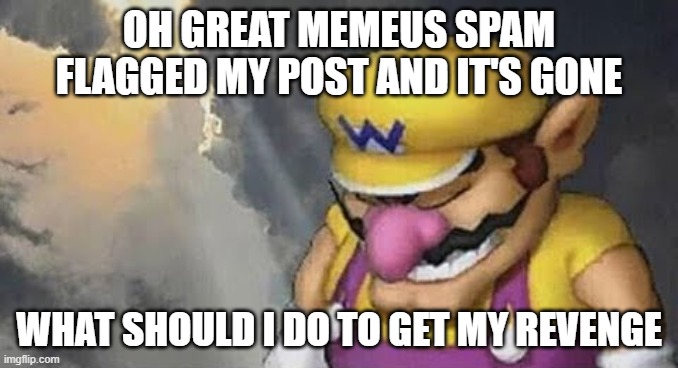 Sad Wario Original | OH GREAT MEMEUS SPAM FLAGGED MY POST AND IT'S GONE; WHAT SHOULD I DO TO GET MY REVENGE | image tagged in sad wario original | made w/ Imgflip meme maker