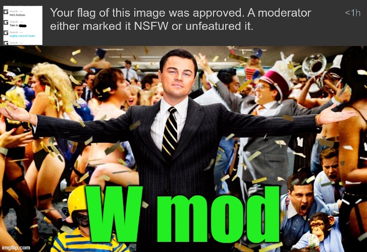 W mod | image tagged in wolf party | made w/ Imgflip meme maker