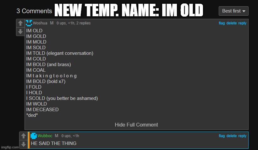 use this on anyone who makes a gerson joke | NEW TEMP. NAME: IM OLD | image tagged in im old | made w/ Imgflip meme maker