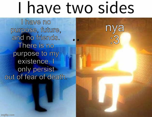 . | I have no purpose, future, and no friends. There is no purpose to my existence, I only persist out of fear of death. nya :3 | made w/ Imgflip meme maker