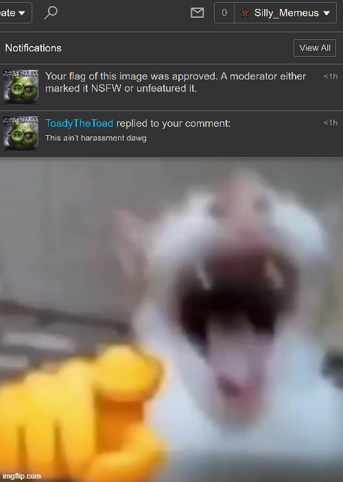 lmao | image tagged in cat pointing and laughing | made w/ Imgflip meme maker