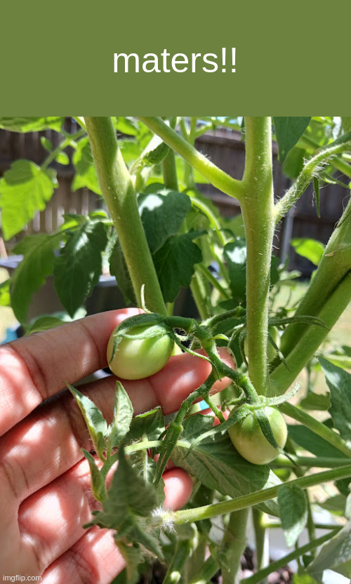 maters!! | made w/ Imgflip meme maker