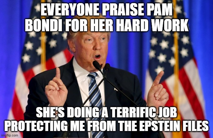 Trump is crumbling | EVERYONE PRAISE PAM BONDI FOR HER HARD WORK; SHE'S DOING A TERRIFIC JOB PROTECTING ME FROM THE EPSTEIN FILES | image tagged in jeffrey epstein,epstein,trump,donald trump,pedophile,pam bondi | made w/ Imgflip meme maker