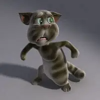 2010 Tom Cat Scared Blank Meme Template