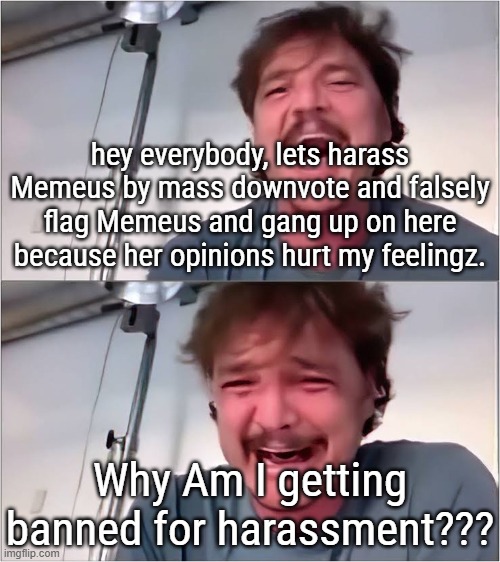 Oh no its the consequences of your own actions! | hey everybody, lets harass Memeus by mass downvote and falsely flag Memeus and gang up on here because her opinions hurt my feelingz. Why Am I getting banned for harassment??? | image tagged in pedro pascal,memeus haters taking the l | made w/ Imgflip meme maker