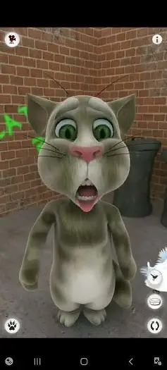 2010 Tom Cat Surprised Blank Meme Template