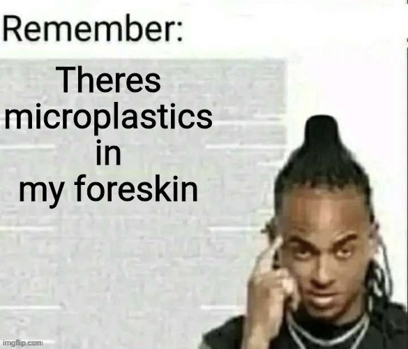 Remember | Theres microplastics in my foreskin | image tagged in remember | made w/ Imgflip meme maker