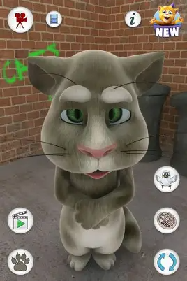 2010 Talking Tom Cat Tummy Ache Blank Meme Template