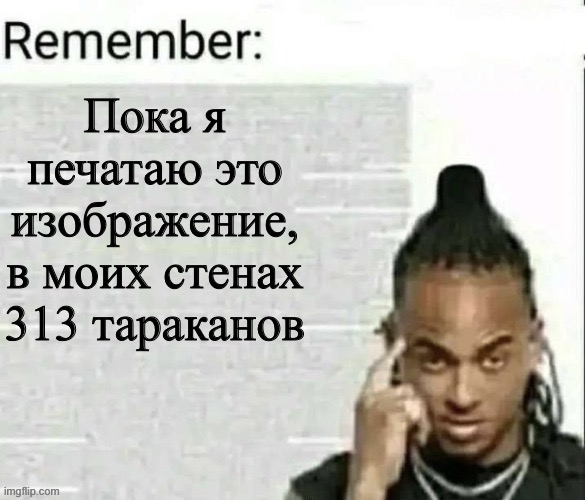 Remember | Пока я печатаю это изображение, в моих стенах 313 тараканов | image tagged in remember,msmg | made w/ Imgflip meme maker