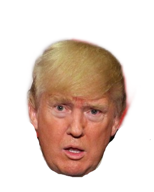 Confused Trump Blank Meme Template