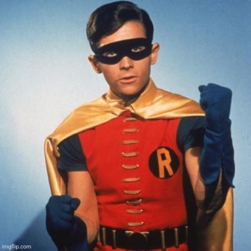Robin | image tagged in robin | made w/ Imgflip meme maker