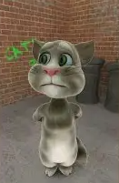 Tom Cat 2010 Worried Blank Meme Template