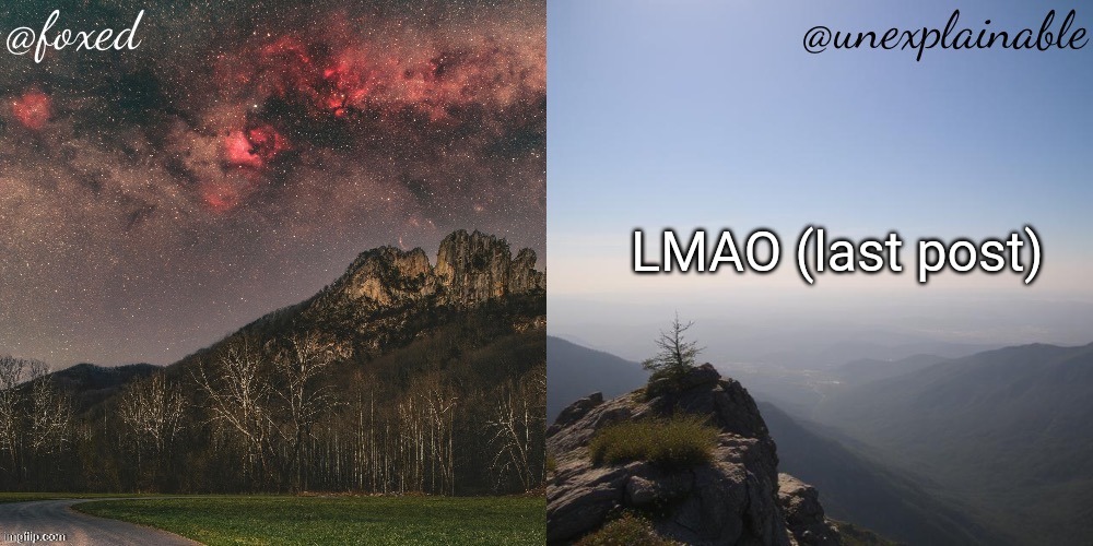 Not what I expected... | LMAO (last post) | image tagged in the fox is unexplainable | made w/ Imgflip meme maker