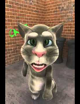 2010 Tom Cat Ow! Blank Meme Template