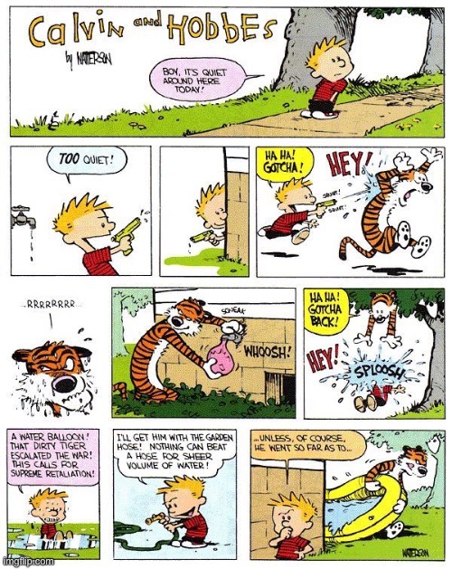 “The Great Water War” has begun! | image tagged in calvin and hobbes,comics,water war | made w/ Imgflip meme maker