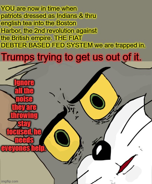 GOLD BACK currency, not fiat fed notes | YOU are now in time when patriots dressed as Indians & thru english tea into the Boston Harbor, the 2nd revolution against the British empire. THE FIAT DEBTER BASED FED SYSTEM we are trapped in. Ignore all the noise they are throwing stay focused, he needs eveyones help. Trumps trying to get us out of it. | image tagged in memes,unsettled tom | made w/ Imgflip meme maker