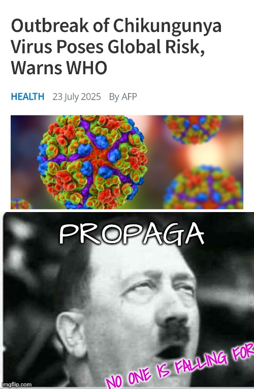 And the African beez and the Chinese virus & the zeta jones virus & the malaysian blahblah | PROPAGA; NO ONE IS FALLING FOR | image tagged in hitler eyeroll,random,foreign | made w/ Imgflip meme maker
