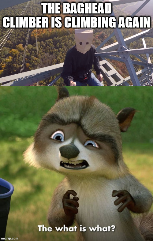 Confused Richie | THE BAGHEAD CLIMBER IS CLIMBING AGAIN | image tagged in dark humor,lattice climbing,climbing memes,over the hedge,richie,climber | made w/ Imgflip meme maker