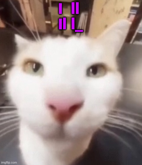 The stare | I  ll; Il l_ | image tagged in the stare | made w/ Imgflip meme maker