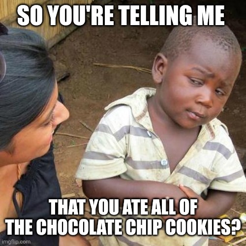 Cookies | SO YOU'RE TELLING ME; THAT YOU ATE ALL OF THE CHOCOLATE CHIP COOKIES? | image tagged in memes,third world skeptical kid,funny memes | made w/ Imgflip meme maker