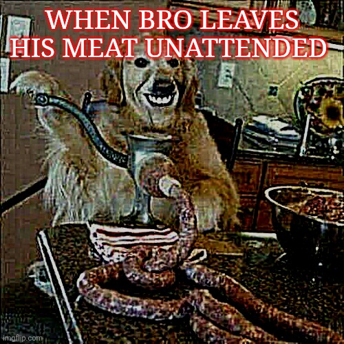 Dog making Sausage | WHEN BRO LEAVES HIS MEAT UNATTENDED | image tagged in dog making sausage | made w/ Imgflip meme maker