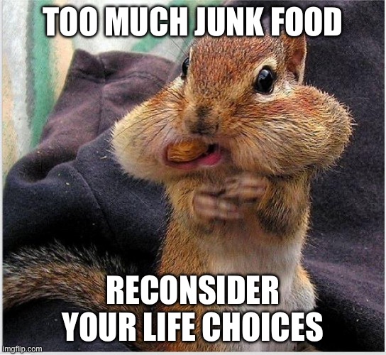 Junk food | TOO MUCH JUNK FOOD; RECONSIDER YOUR LIFE CHOICES | image tagged in diet,junk food | made w/ Imgflip meme maker