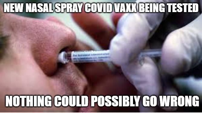 NEW NASAL SPRAY COVID VAXX BEING TESTED; NOTHING COULD POSSIBLY GO WRONG | made w/ Imgflip meme maker