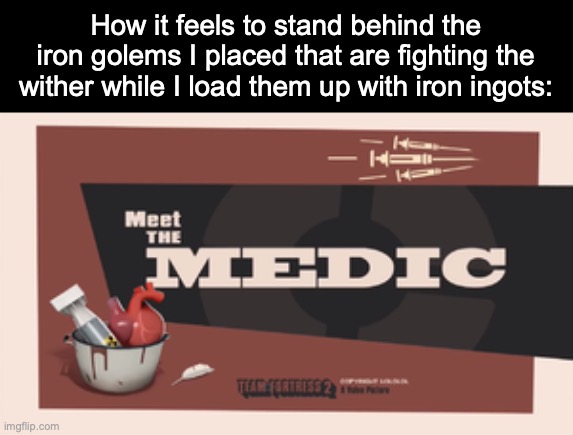 I HAVE NO IDEA | How it feels to stand behind the iron golems I placed that are fighting the wither while I load them up with iron ingots: | image tagged in meet the medic,memes,minecraft memes,tf2,the medic tf2 | made w/ Imgflip meme maker