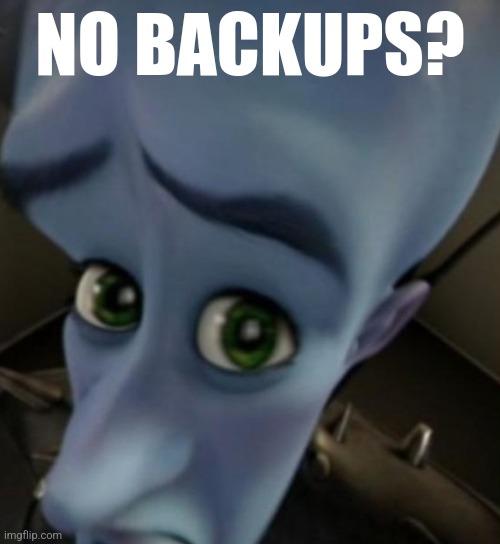 Megamind no bitches | NO BACKUPS? | image tagged in megamind no bitches | made w/ Imgflip meme maker
