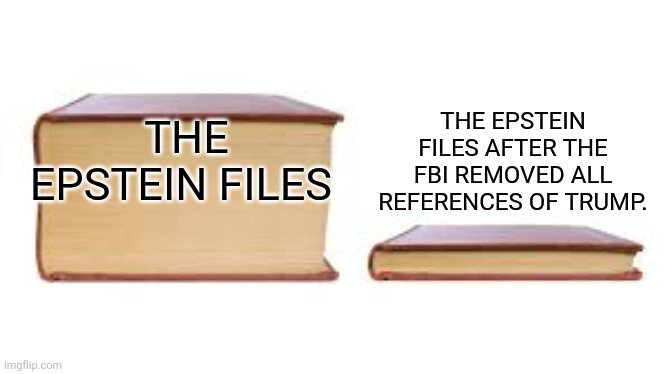 Big book small book | THE EPSTEIN FILES AFTER THE FBI REMOVED ALL REFERENCES OF TRUMP. THE EPSTEIN FILES | image tagged in big book small book | made w/ Imgflip meme maker