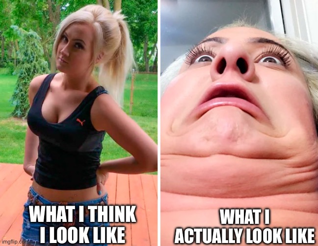 pretty ugly! | WHAT I ACTUALLY LOOK LIKE; WHAT I THINK I LOOK LIKE | image tagged in pretty ugly | made w/ Imgflip meme maker