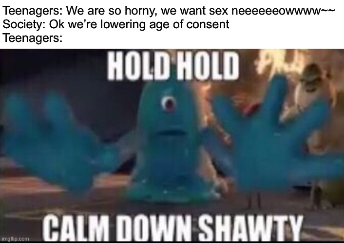 Calm down shawty | Teenagers: We are so horny, we want sex neeeeeeowwww~~
Society: Ok we’re lowering age of consent
Teenagers: | image tagged in calm down shawty,msmg | made w/ Imgflip meme maker