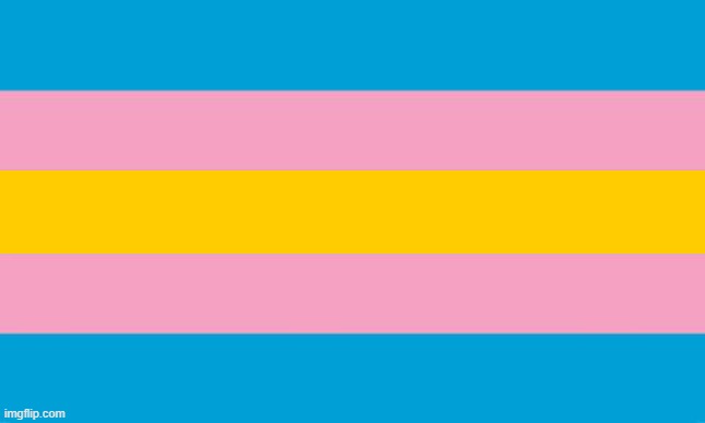Transgender Flag | image tagged in transgender flag | made w/ Imgflip meme maker