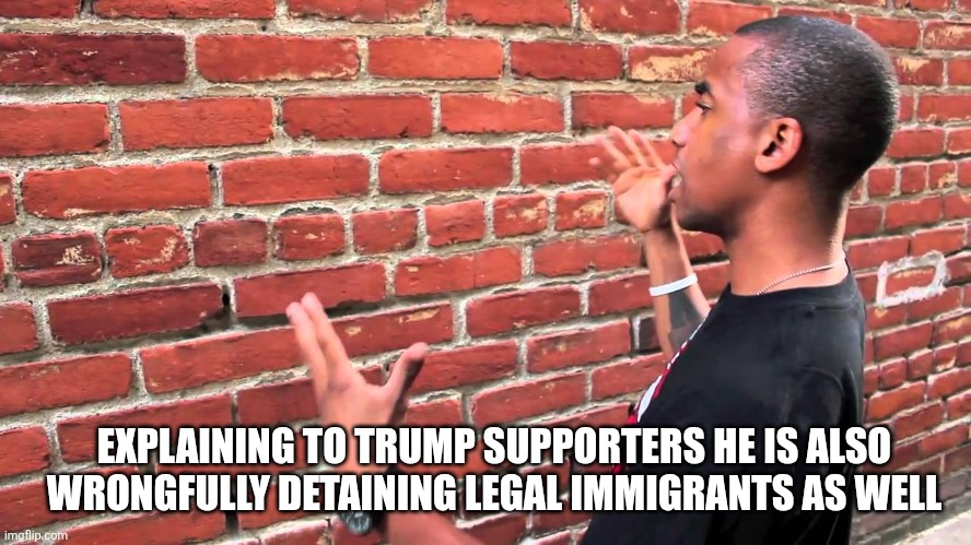 Talking to wall | EXPLAINING TO TRUMP SUPPORTERS HE IS ALSO WRONGFULLY DETAINING LEGAL IMMIGRANTS AS WELL | image tagged in talking to wall | made w/ Imgflip meme maker