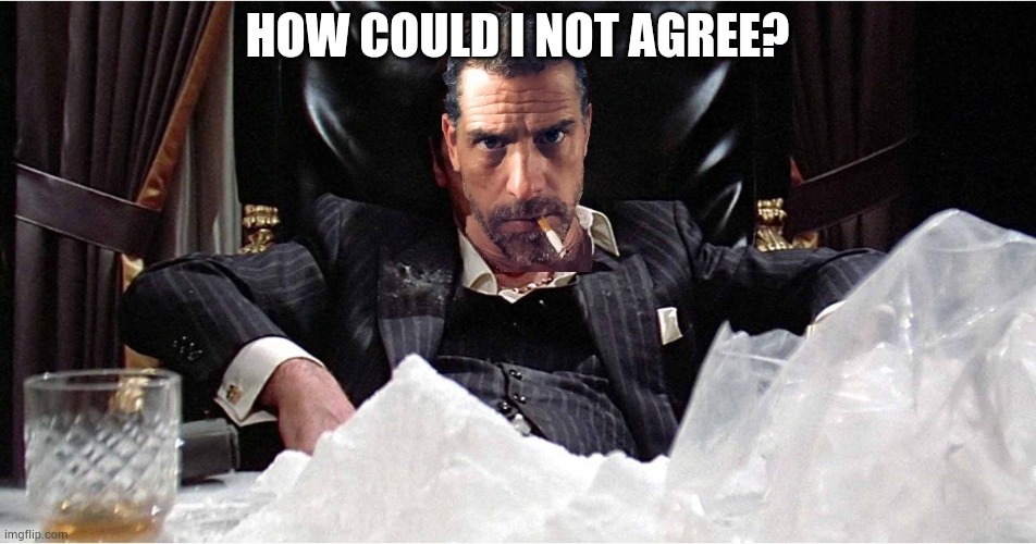 HOW COULD I NOT AGREE? | image tagged in hunter biden visits the white house | made w/ Imgflip meme maker