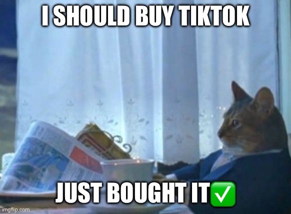 I should buy TikTok | I SHOULD BUY TIKTOK; JUST BOUGHT IT✅ | image tagged in memes,i should buy a boat cat,cat,tiktok,sophisticated cat,fancy cat | made w/ Imgflip meme maker