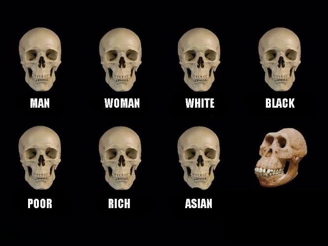 Comparison Blank Meme Template