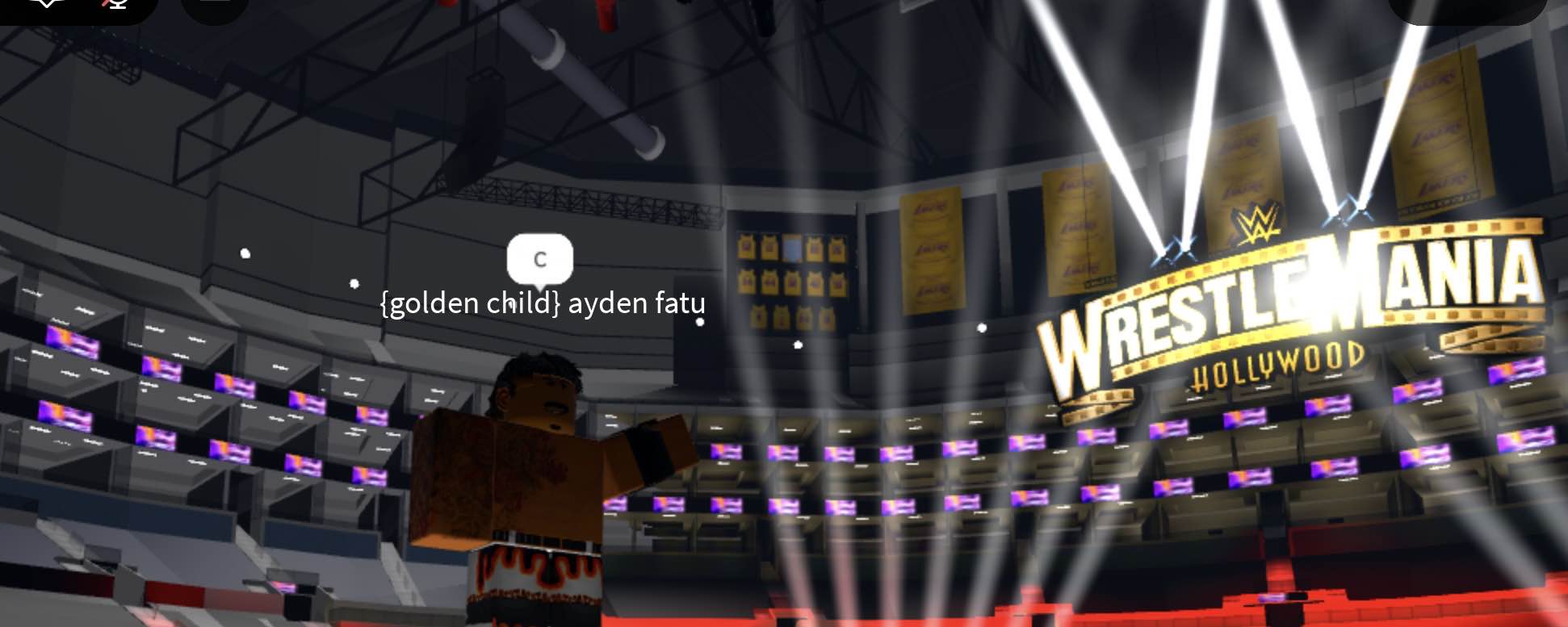 Ayden fatu Blank Meme Template