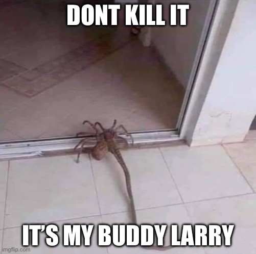 spooder | DONT KILL IT; IT’S MY BUDDY LARRY | image tagged in spooder | made w/ Imgflip meme maker