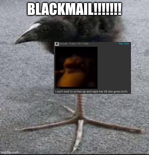 Tripod Bird | BLACKMAIL!!!!!!! | image tagged in tripod bird | made w/ Imgflip meme maker