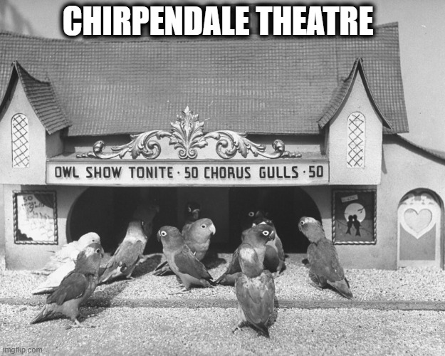 CHIRPENDALE THEATRE | made w/ Imgflip meme maker